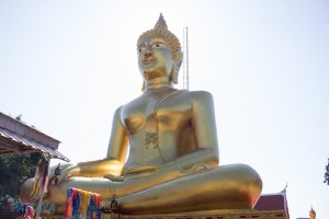 IMG_8990